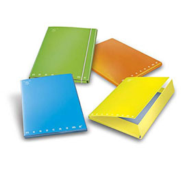 0227903-3l cartella a 3 lembi a4 dorso 1,2cm fluo monocromo pigna