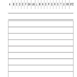100 schede rigate verticale 24x17cm e3393bl edipro