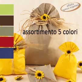 100 buste regalo in ppl mat a everyday classic 16x25cm 5 colori assortiti