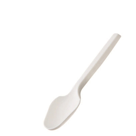 100 cucchiaino in cpla 10 cm leone