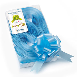 30 nastri strip 6800 31mm-Ø13cm colore azzurro 06 brizzolari