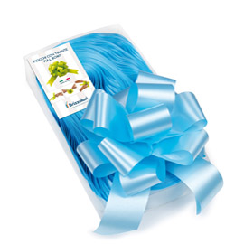30 nastri strip 6800 50mm-Ø20cm colore azzurro 06 brizzolari