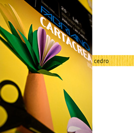 Blister 10fg cartoncino 35x50cm 220gr cedro cartacrea fabriano