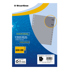 Divisori mensili gen/dic 12 tacche - a4 - pp - grigio - starline