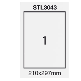 Etichetta adesiva bianca 100fg a4 210x297mm (1et/fg) starline