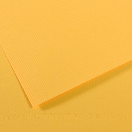 Foglio mi-teintes a4 cm 160 gr. 400 botton d'oro