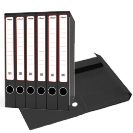 Gruppo raccoglitori sestetto c/cartelle 25,5x34,5cm dorso 23cm rexel
