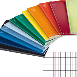 Maxiquaderno a4 40fg+2 80gr 2 colonne monocromo pigna