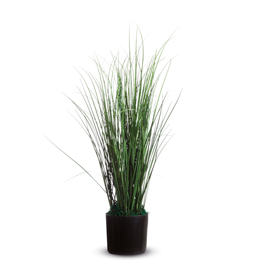Pianta ornamentale erba h55cm