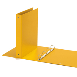 Raccoglitore europa favorit 4010 22x30 4r dorso 30 giallo