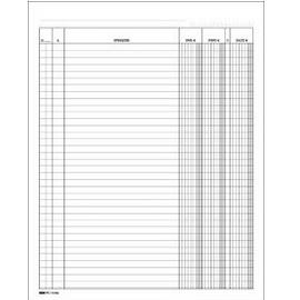 Registro dare/avere/saldo 24x17 100pag. E2689