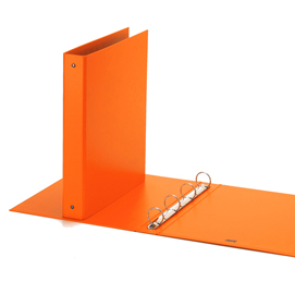 Raccoglitore europa 4010 22x30mm 4r dorso 30 arancio favorit