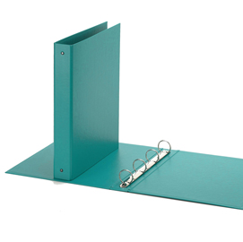 Raccoglitore europa 4010 22x30mm 4r dorso 30 verde acqua favorit