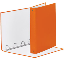 Raccoglitore meeting 30 a4 4r in ppl arancio esselte