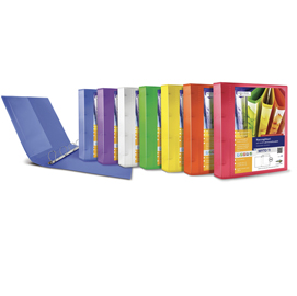 Raccoglitore myto ti 30 a4 4d 22x30cm assortito personalizzabile sei rota