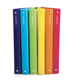 Raccoglitore colorosa 4r ø15mm col.ass 245x307mm