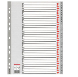 Separatore in ppl grigio numerico 1-31 f.to a4 esselte